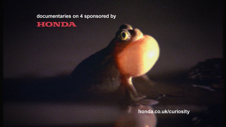 C4 Idents - Honda